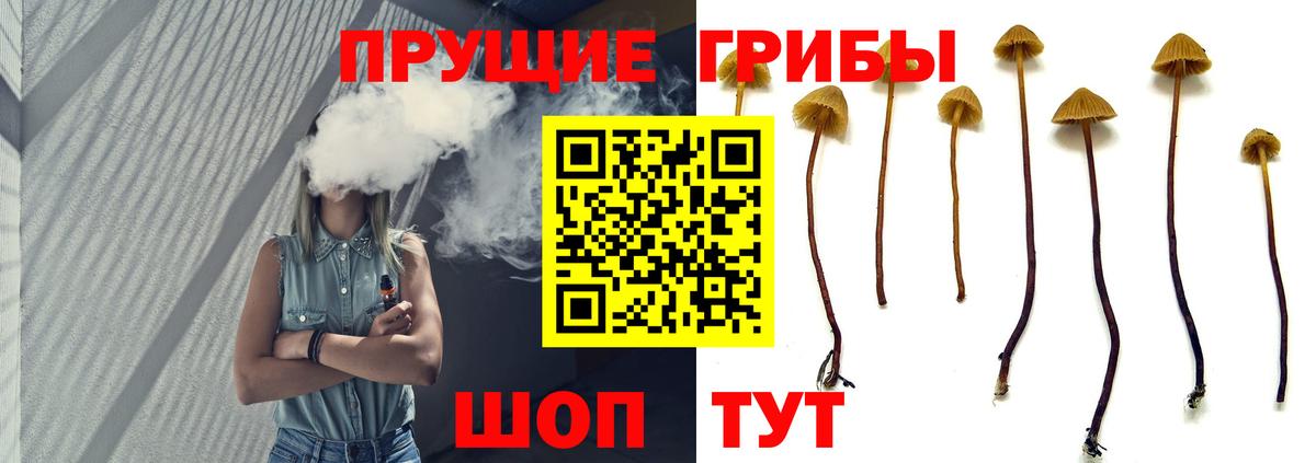 Галлюциногенные грибы Cubensis Гулькевичи